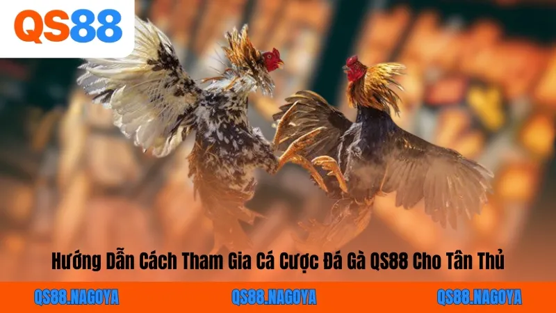 Hướng Dẫn Cách Tham Gia Cá Cược Đá Gà QS88 Cho Tân Thủ